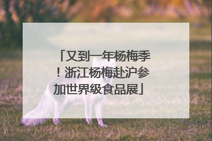又到一年杨梅季！浙江杨梅赴沪参加世界级食品展